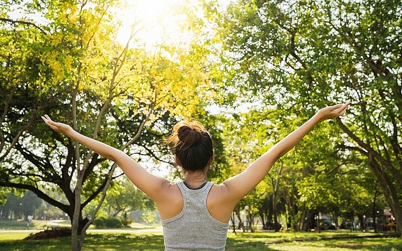 Do You Actually Need a Chiropractor in Red Bank?