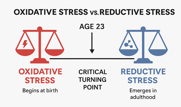 Oxidative Stress vs Reductive Stress
